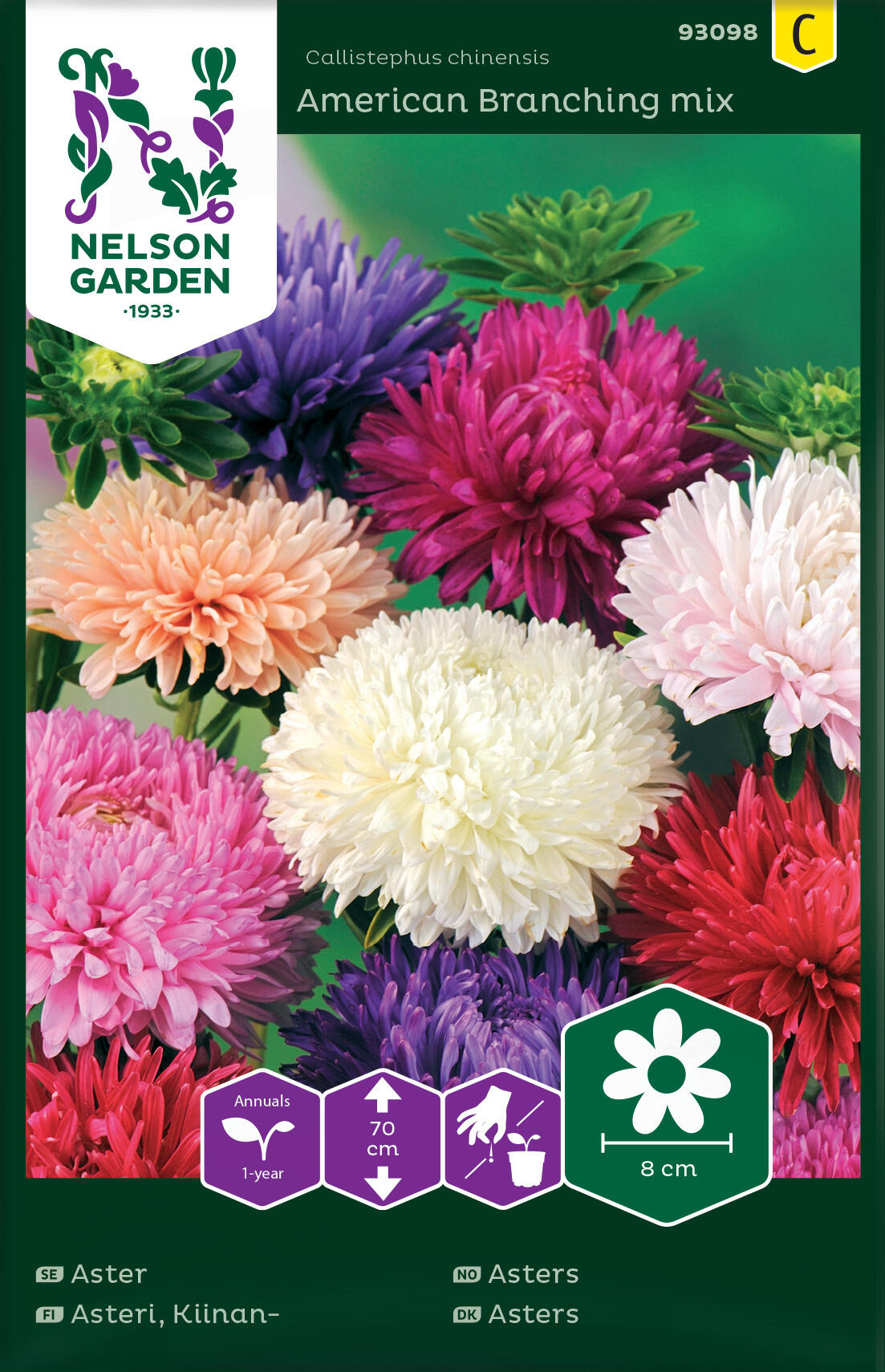 Aster, buske, amerikansk